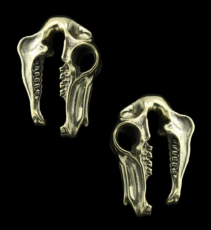 Hoop earrings with diamond-cut surfaces for added sparkle and shine-Equestrian Skull Brass Ear Weights