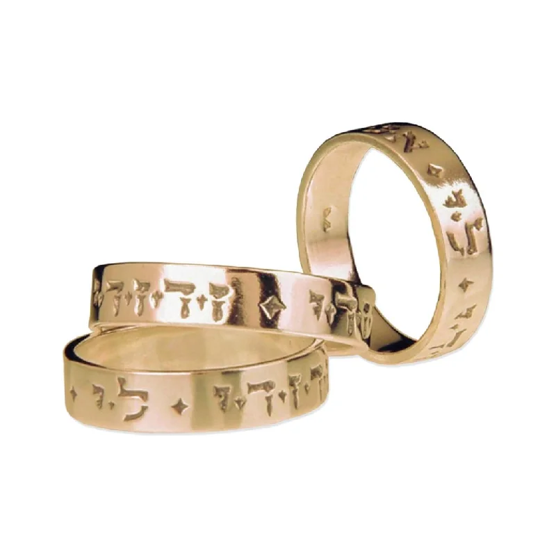 Women’s signet rings with bold family crests -14K Gold I Am My Beloved's And My Beloved is Mine (Ani L'dodi) Ring