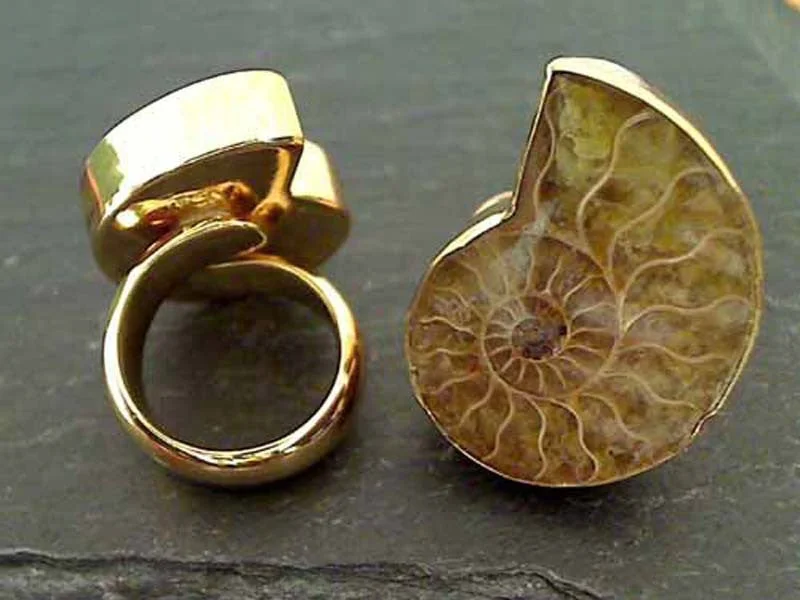 Women’s platinum rings with dazzling black diamonds -Fossil Ammonite, Alchemia Ring - Adj. Size