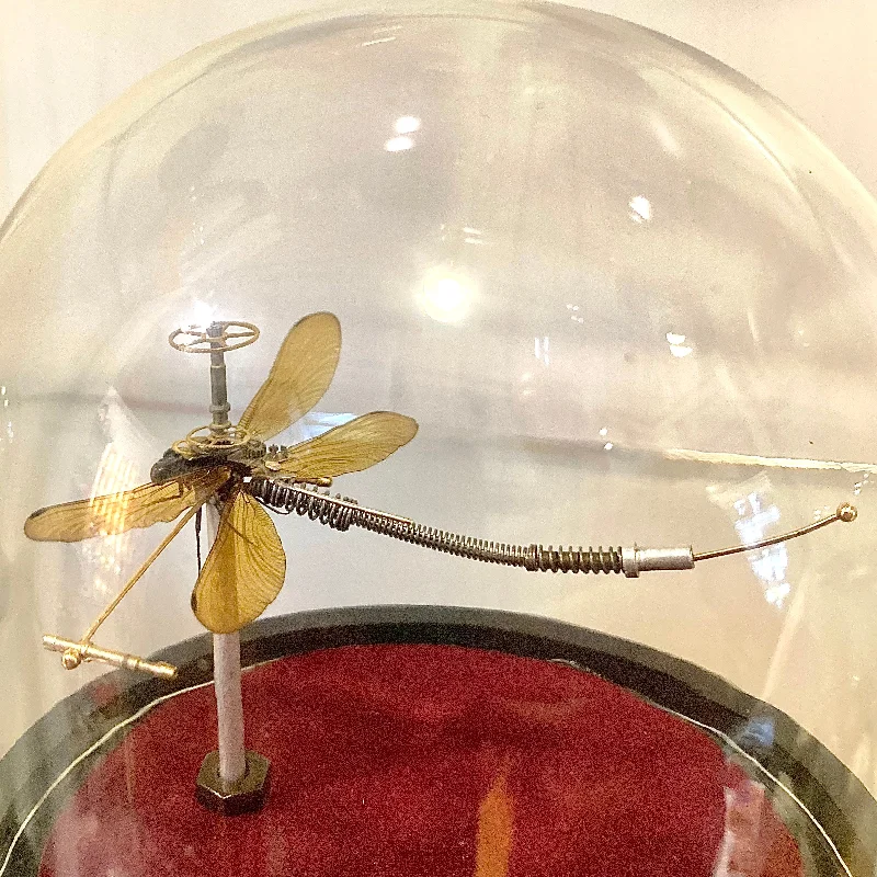 Dragonfly w/upcurved tail